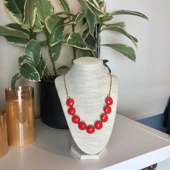 Lizard Queenz Closet - Picture 2 of 5